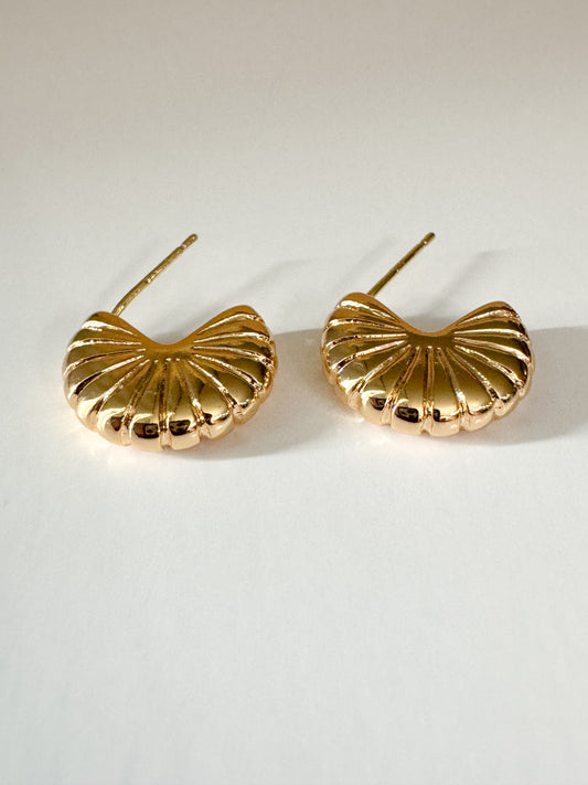 gold shell earrings