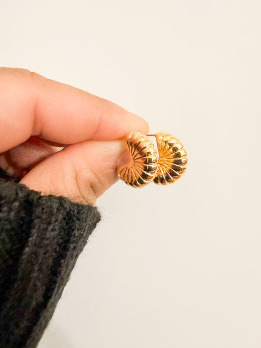 gold shell earrings